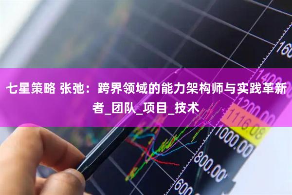 七星策略 张弛：跨界领域的能力架构师与实践革新者_团队_项目_技术