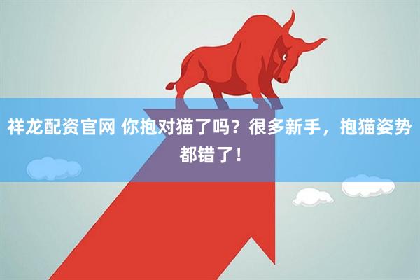 祥龙配资官网 你抱对猫了吗？很多新手，抱猫姿势都错了！