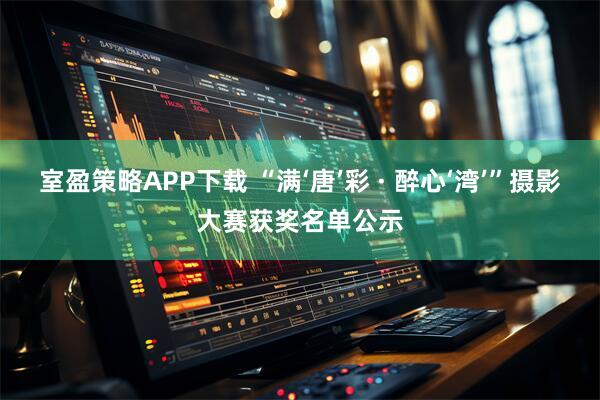 室盈策略APP下载 “满‘唐’彩 · 醉心‘湾’”摄影大赛获奖名单公示